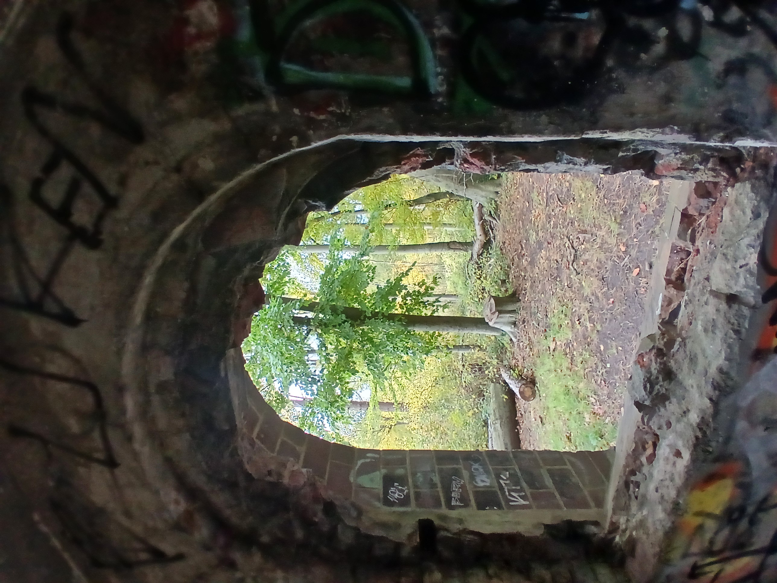 Ahnenheilung durch Entdecken und Lösen